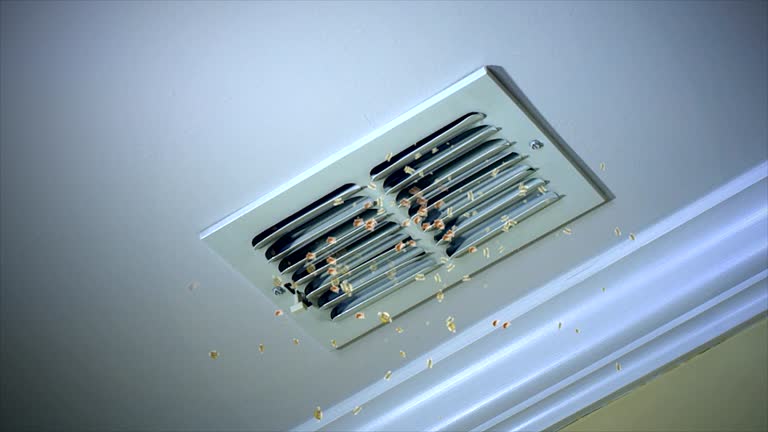 Best Air Vent Cleaning Services  in Magee, MS