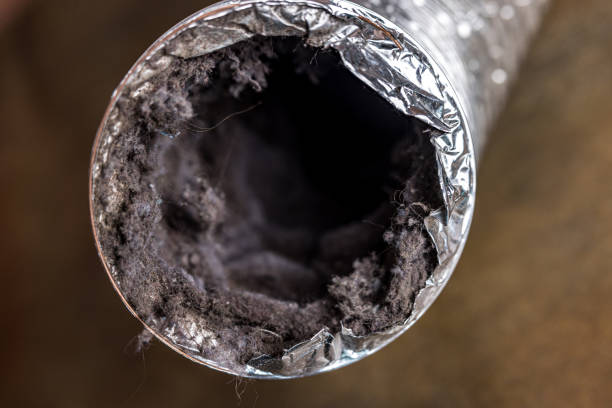 Best Air Duct Sanitizing Services  in Magee, MS