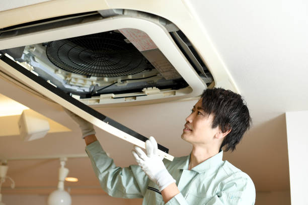 Best Local Air Duct Cleaning Services  in Magee, MS